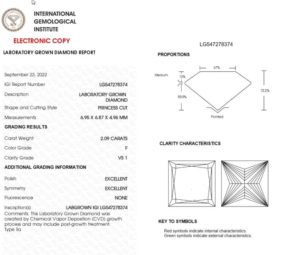 Princess Cut Solitaire Ring Guard Set - Balacia