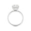 4 Carat Radiant Cut 1/2 Eternity with Hidden Halo Engagement Ring