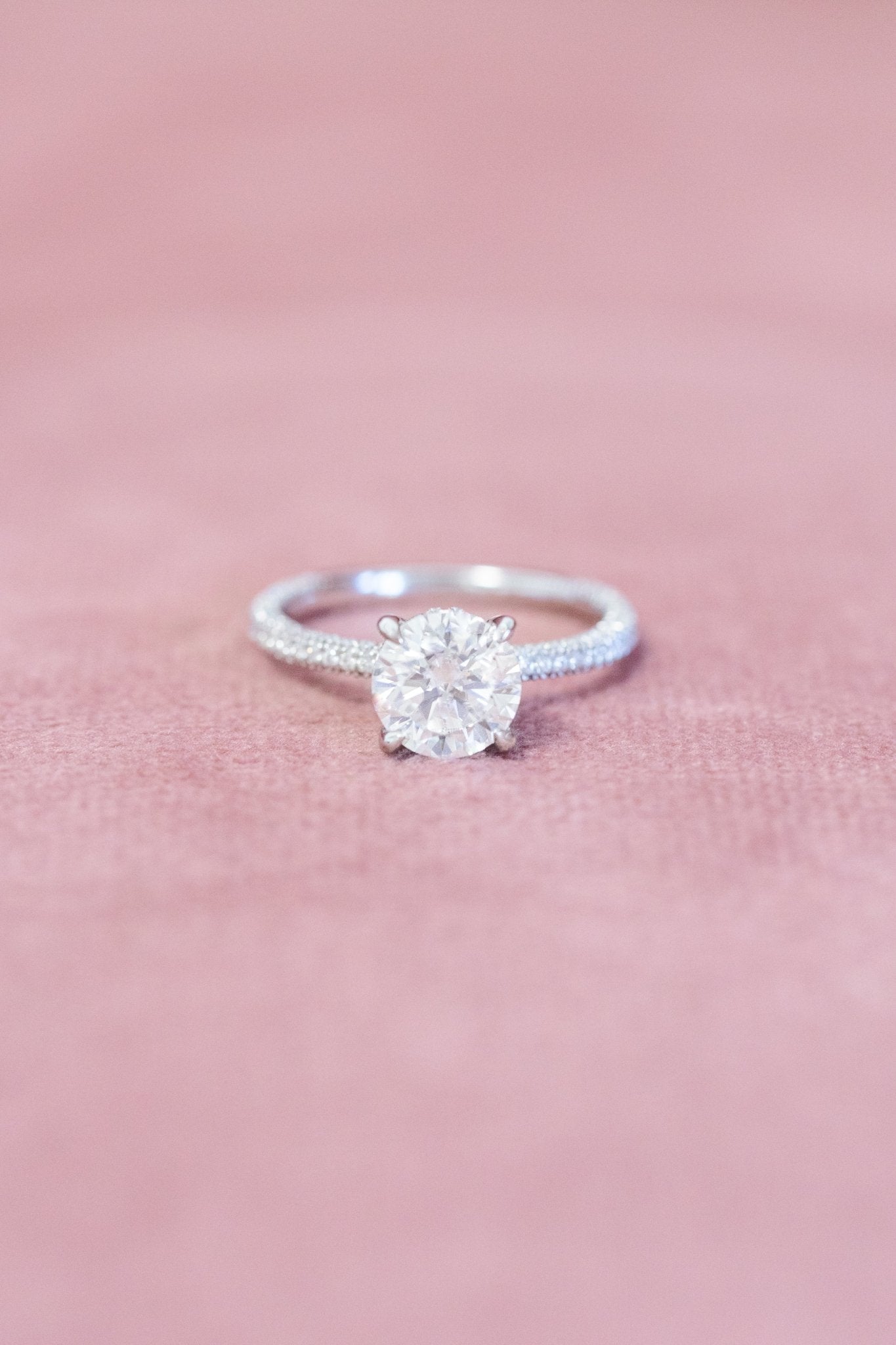 Round Moissanite Engagement Ring Pave Band - Balacia